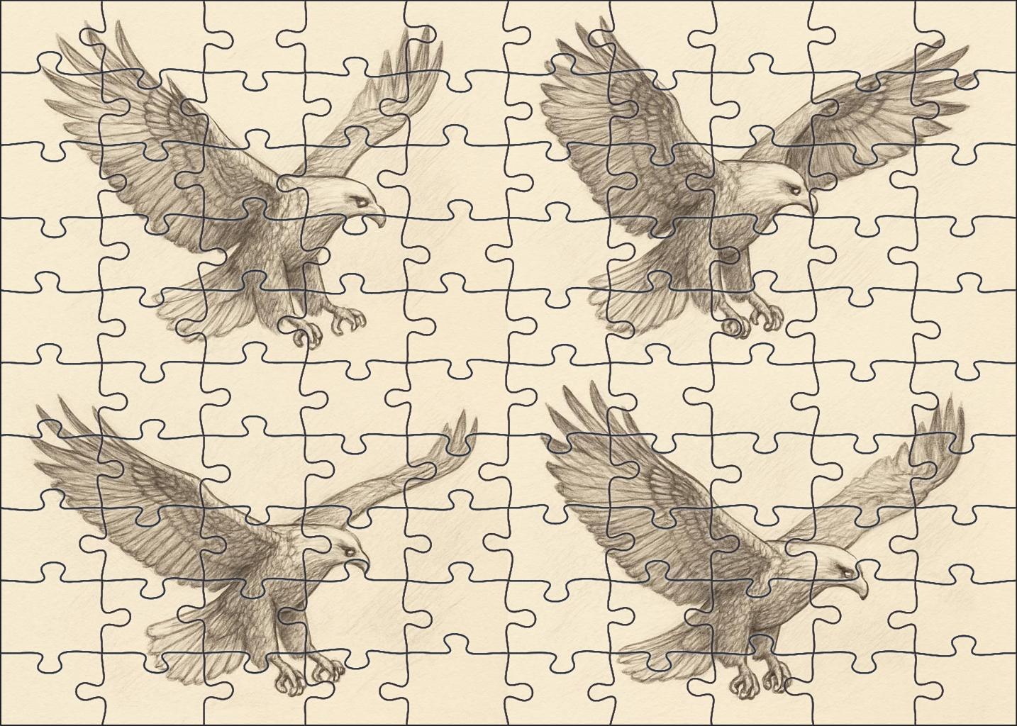 Narrative Wildlife Moment Sequential Pencil Sketches Of Soaring Eagle Family Puzzles