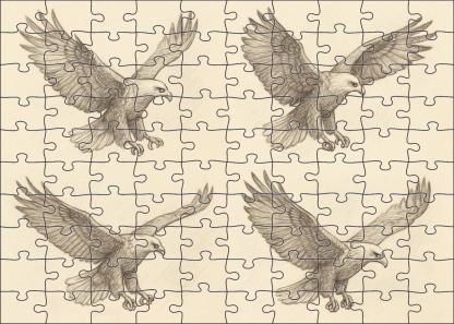 Narrative Wildlife Moment Sequential Pencil Sketches Of Soaring Eagle Family Puzzles