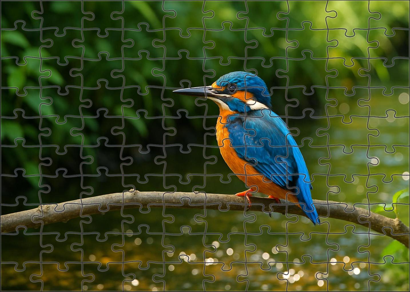 Azure Kingfisher The Jewel Of Riverbanks Puzzle Challenge