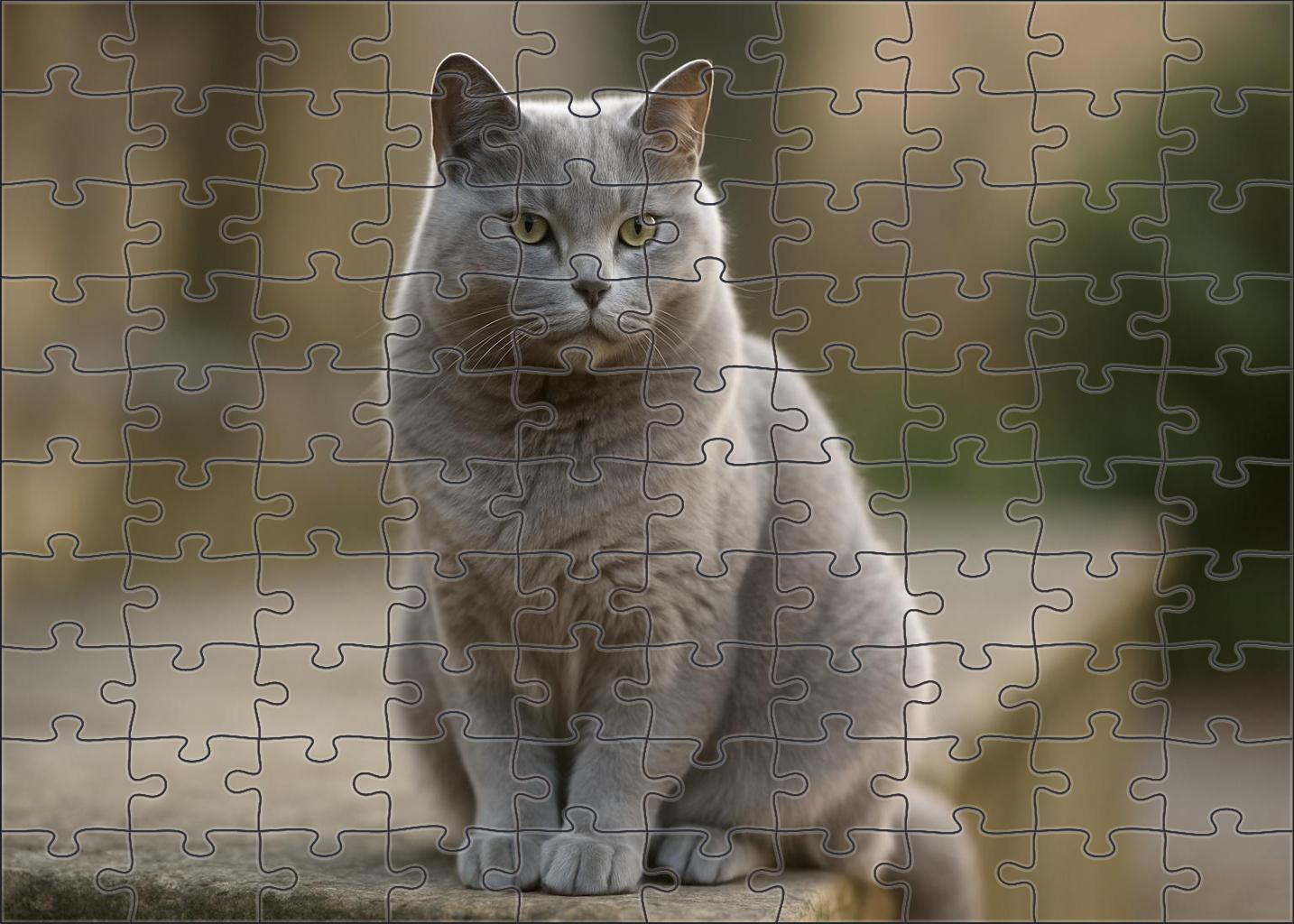 Misty Pearl 50 Piece Puzzle