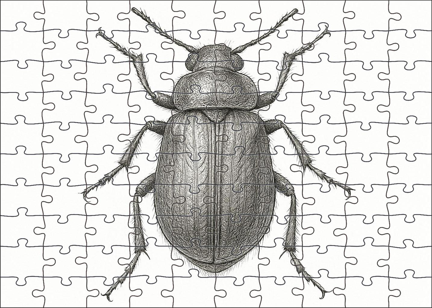 Intricate Insect Anatomy Study Technical Pen Drawing With Fine Detailing Large Format Puzzle