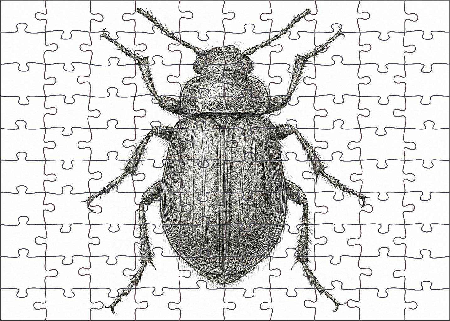 Intricate Insect Anatomy Study Technical Pen Drawing With Fine Detailing Large Format Puzzle