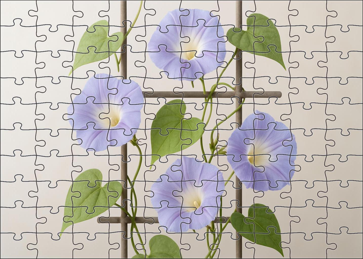 Frosted Morning Glory Wall Frame 100 Piece Puzzle