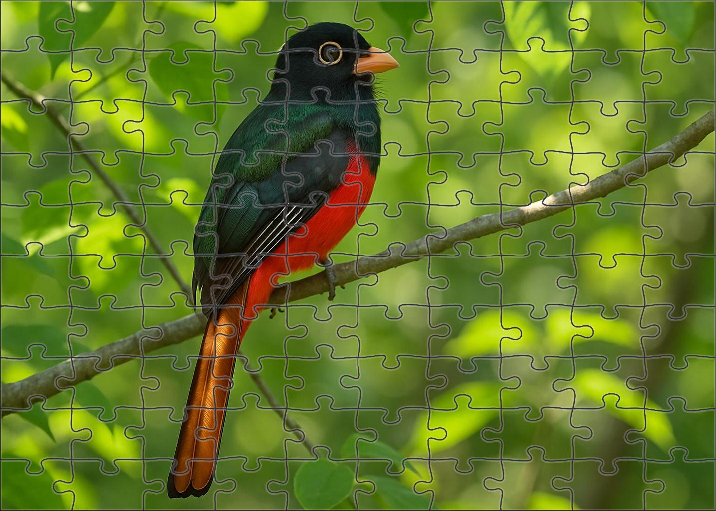 Coppery-tailed Trogon Jewel Of The Tropical Canopy Puzzle Fun