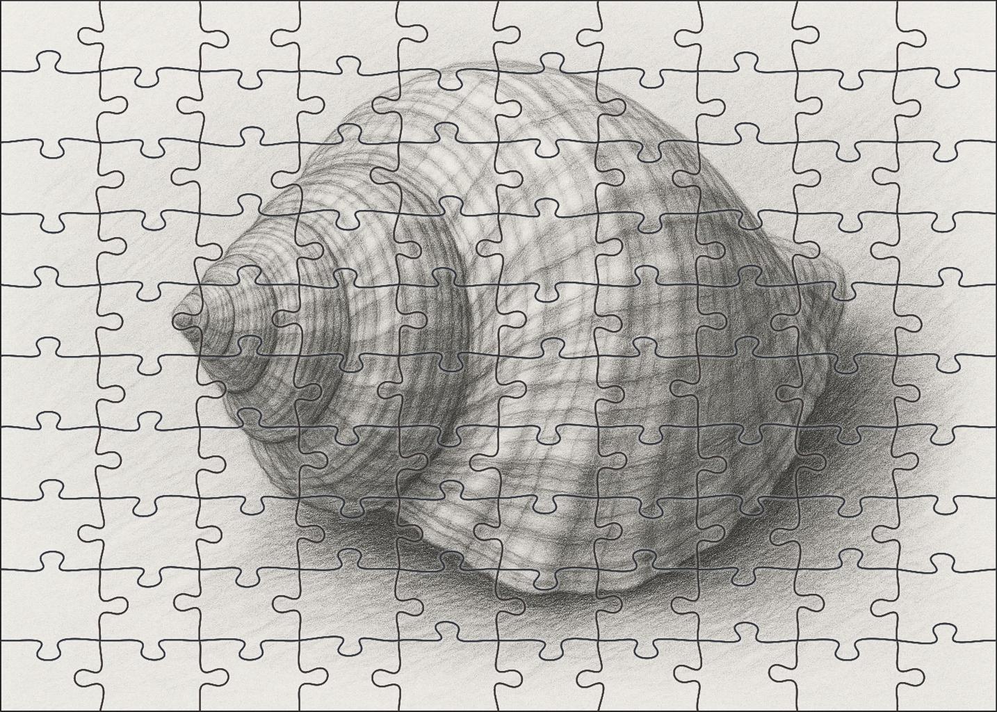 Intricate Shell Anatomy Detailed Graphite Scientific Study Puzzle Challenge