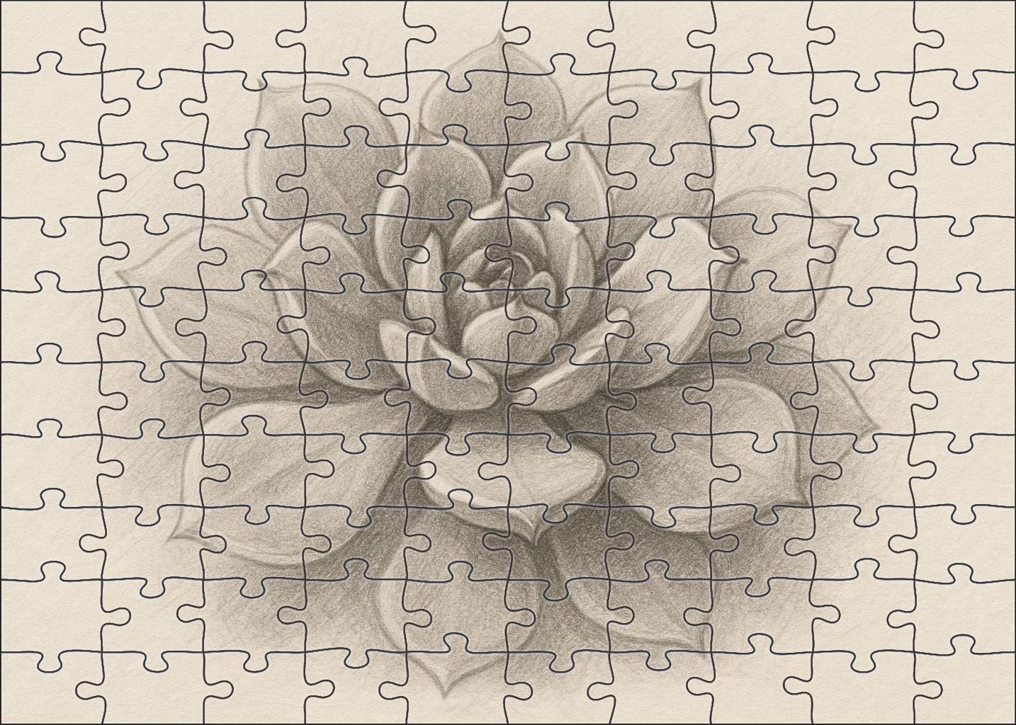 Botanical Portrait Of Succulent Growth Soft Graphite Rendering With Layered Shading 1000 Piece Puzzle