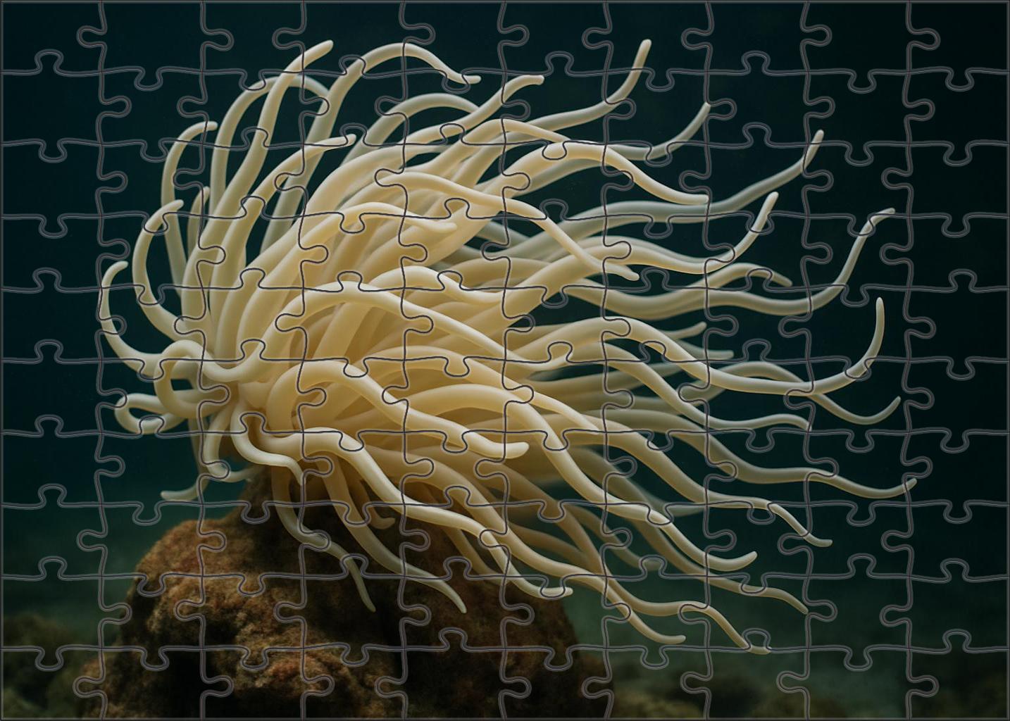 Ivory Tentacle Anemone Elegant Cnidarian With Flowing Appendages Mini Puzzle