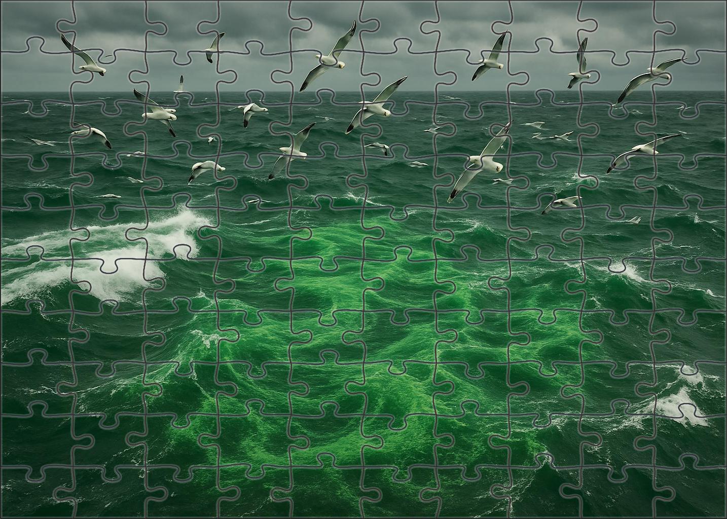 Emerald Upwelling Front Nutrient-rich Waters Sparking Plankton Bloom 50 Piece Puzzle