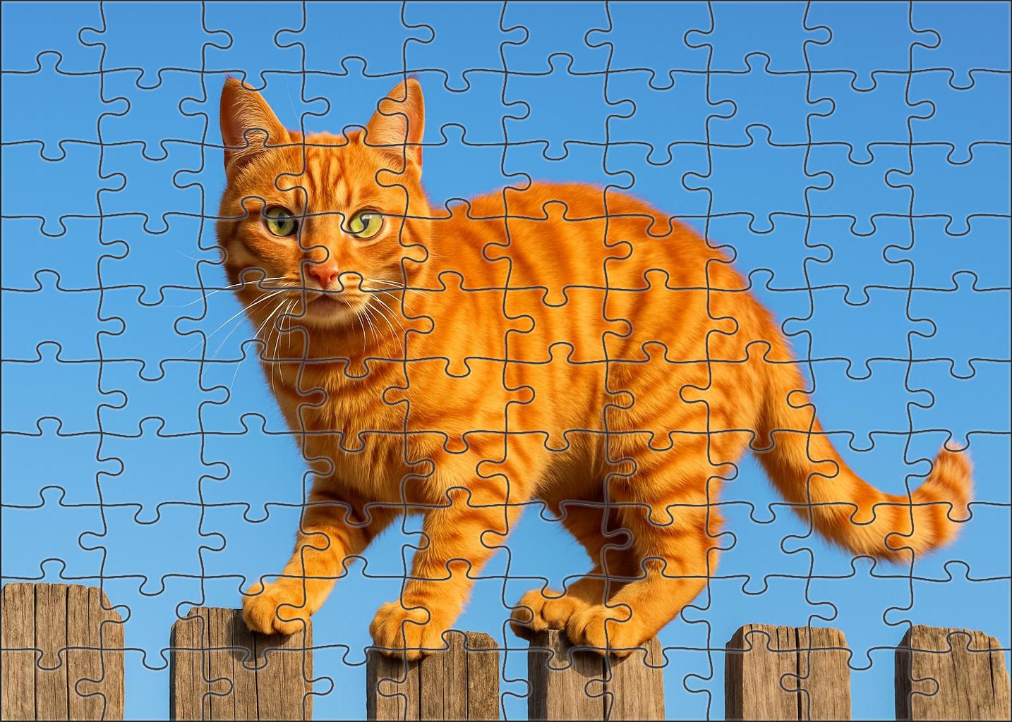 Copper Blaze Fiery Orange Tabby With Spirited Temperament Challenging Puzzles