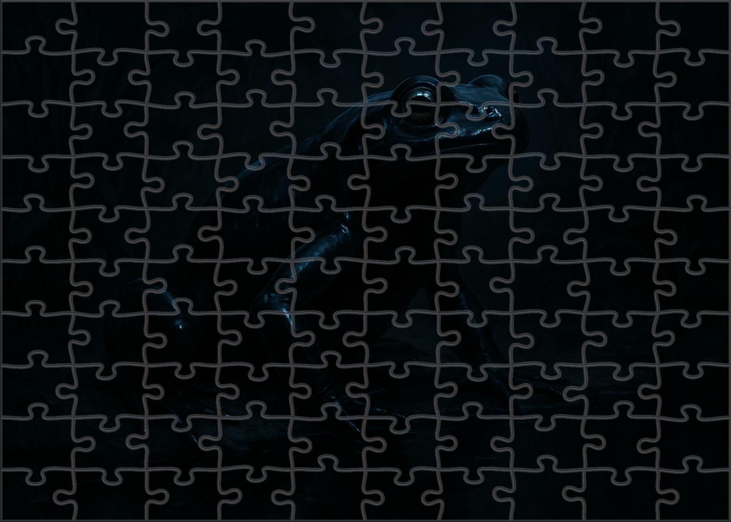 Obsidian Mirage Elusive Amphibious Predator With Camouflaging Skin 200 Piece Puzzle