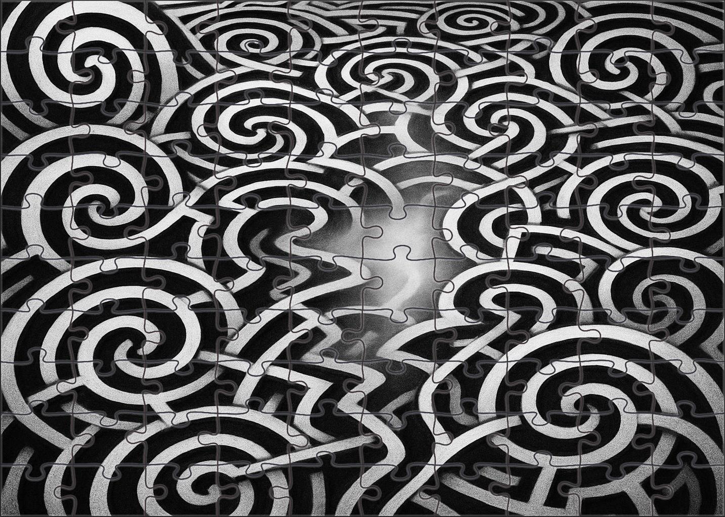 Labyrinth Of Endless Questions 50 Piece Puzzle