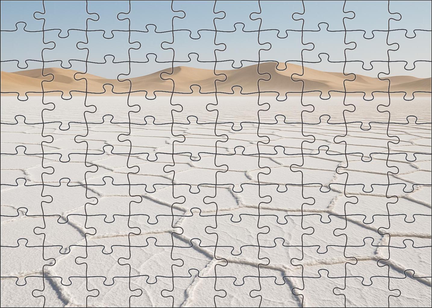 Saltpan Solitude 300 Piece Puzzle