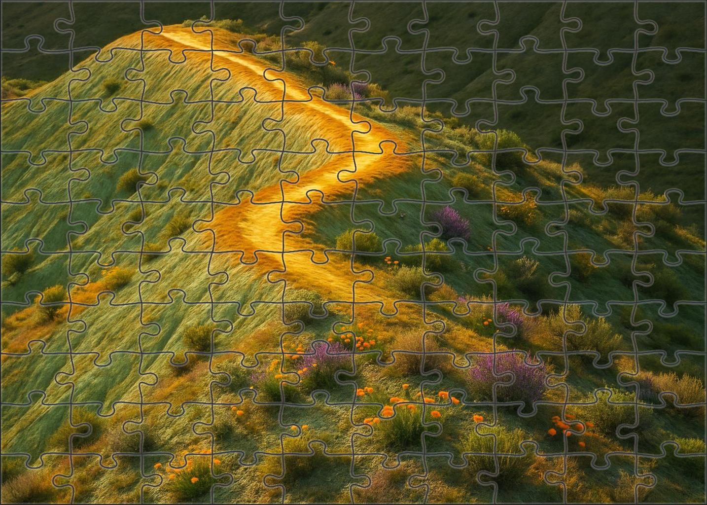 Golden Serpentine Ridge Puzzle Challenge