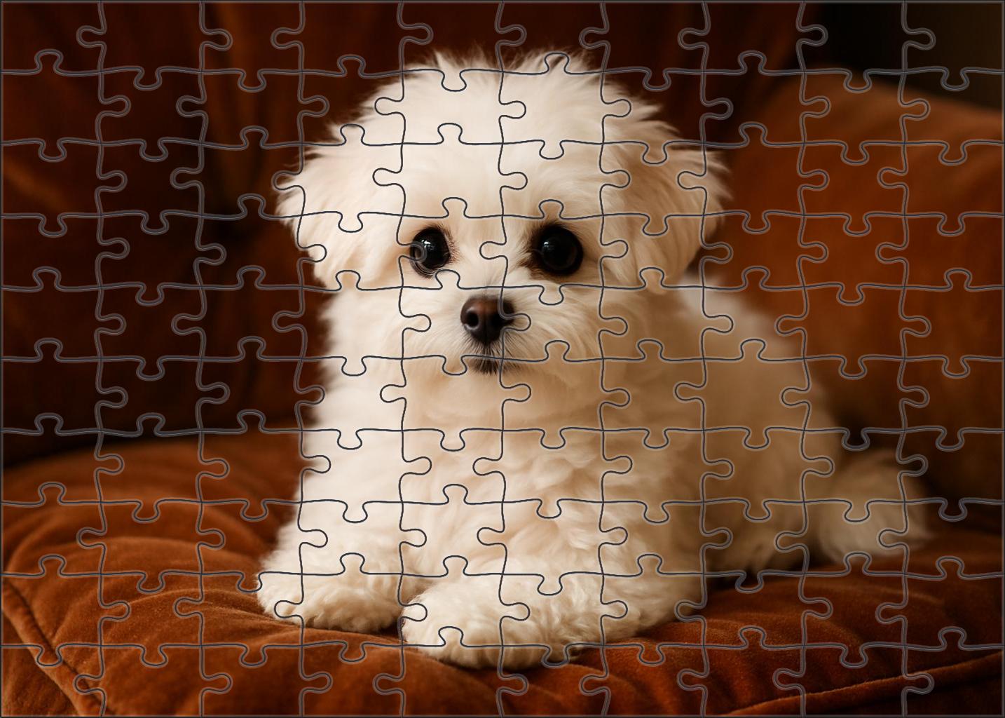 Luminous Pearl 100 Piece Puzzle