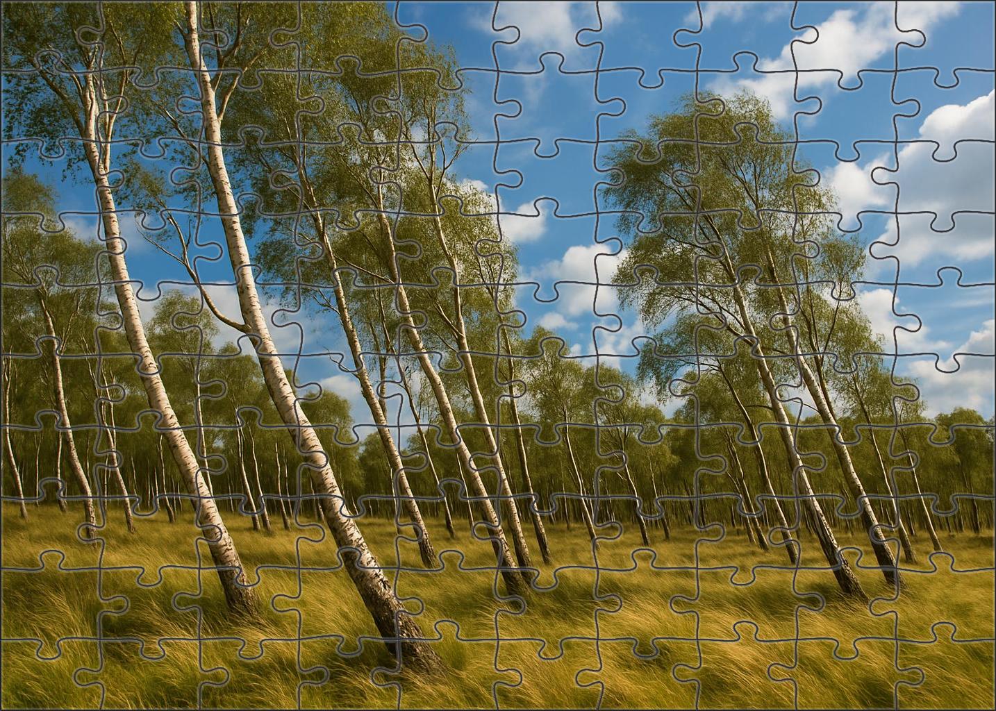 Wind-swept Birch Expanse Custom Jigsaw Puzzle