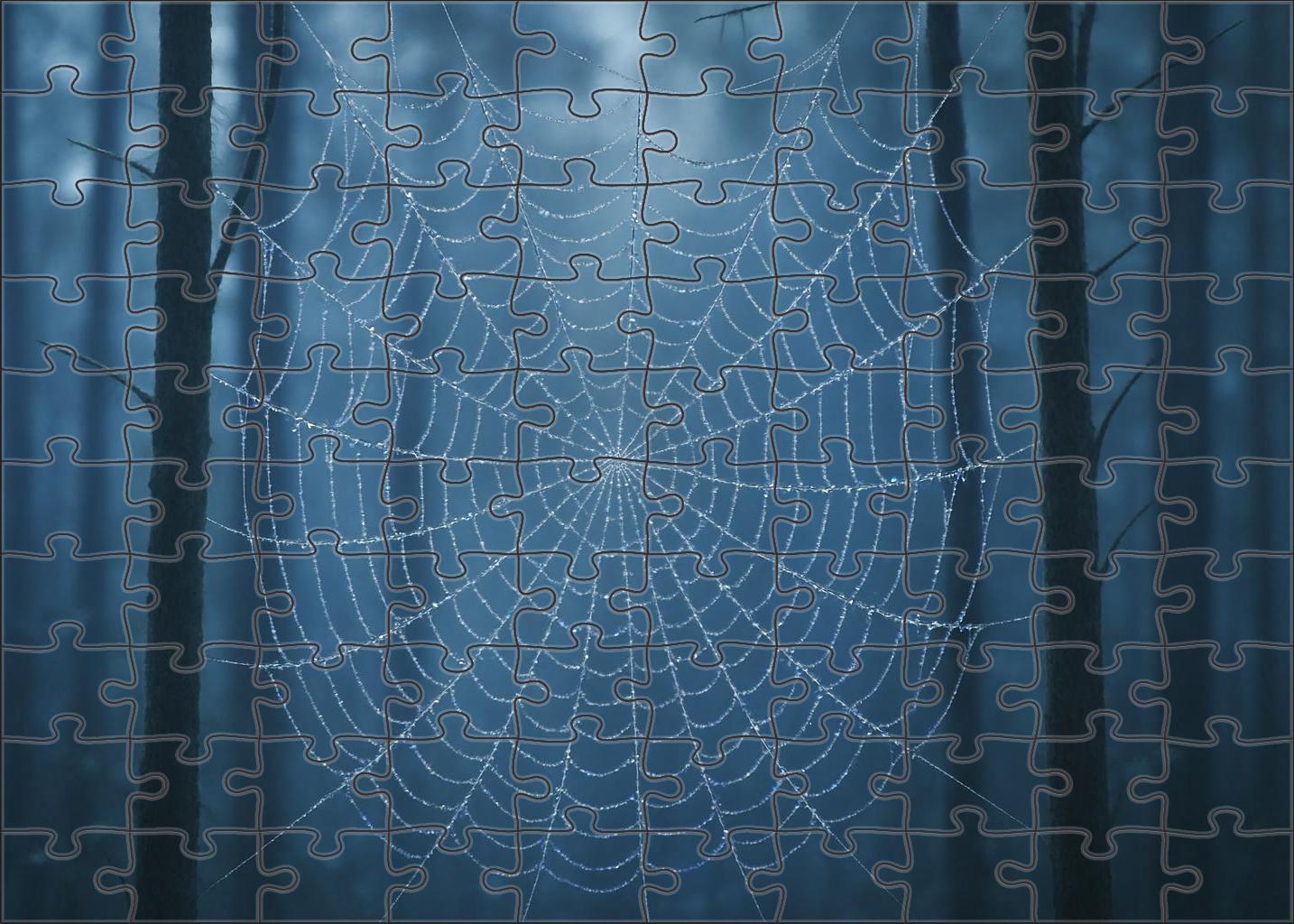 The Gossamer Web Market 200 Piece Puzzle