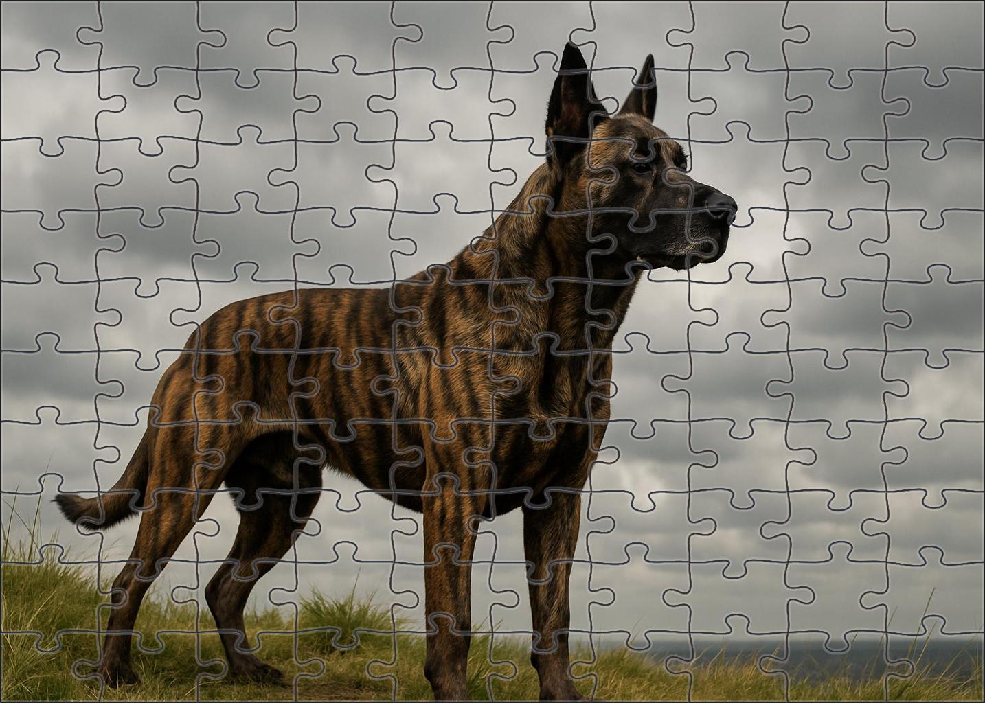 Dusky Brindle Puzzle Challenge