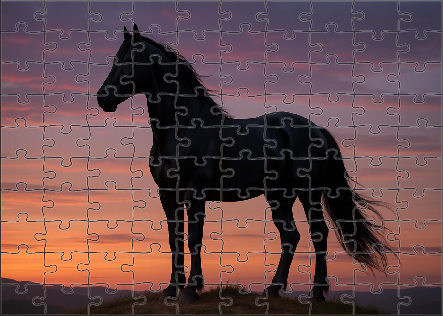 Midnight Eclipse Stunning Coal-black Stallion With Smooth Gait And Noble Bearing Easy Puzzles