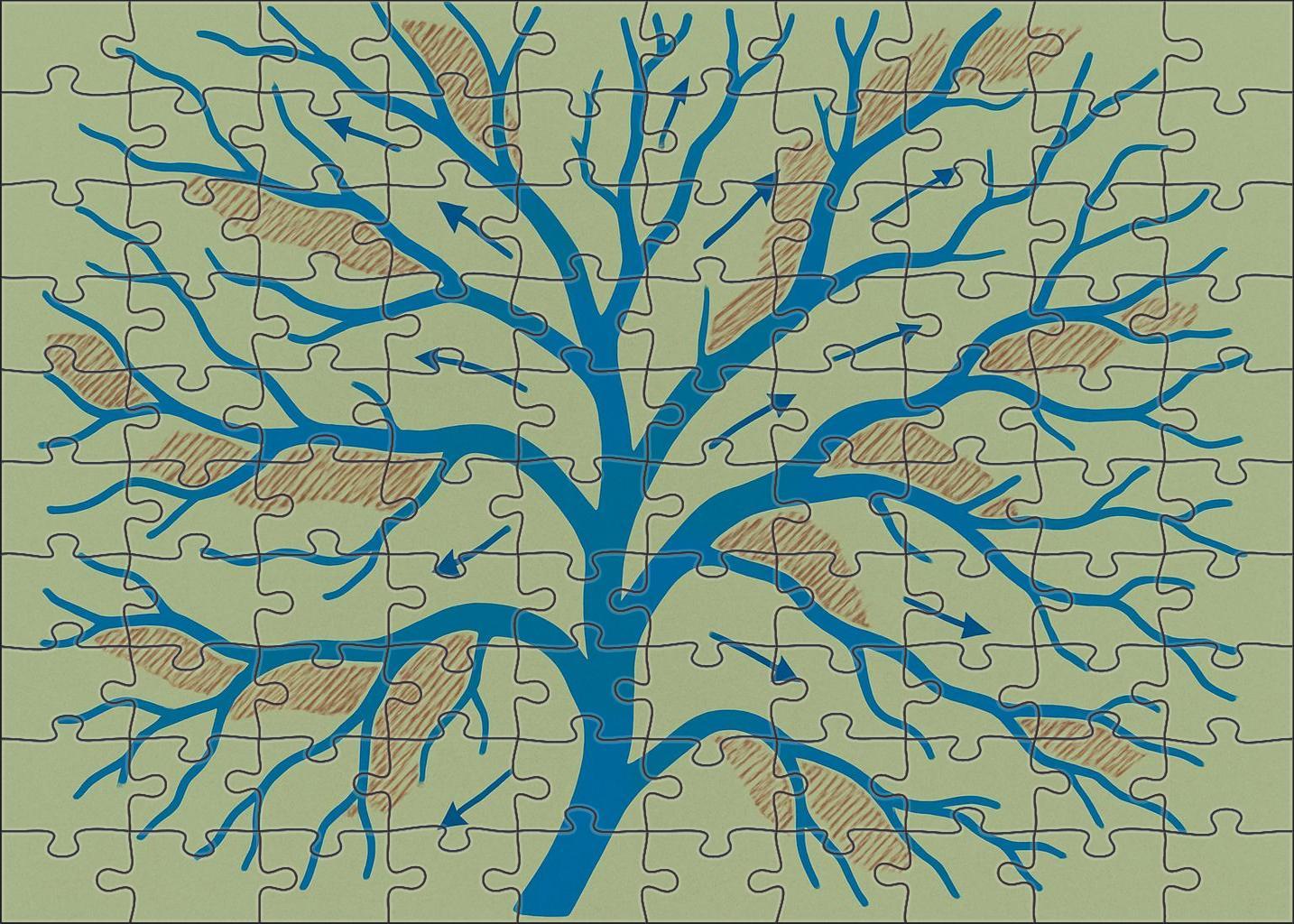 River Delta Hydrodynamic Flowchart Mini Puzzle