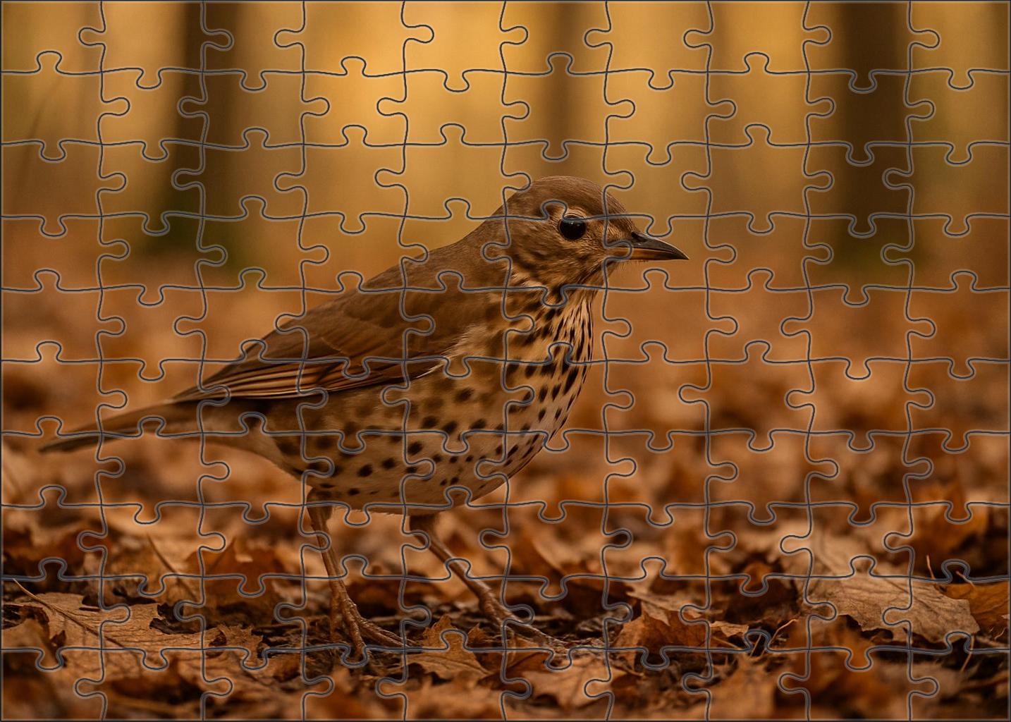 Dusky Thrush The Autumnal Forager Puzzle Fun