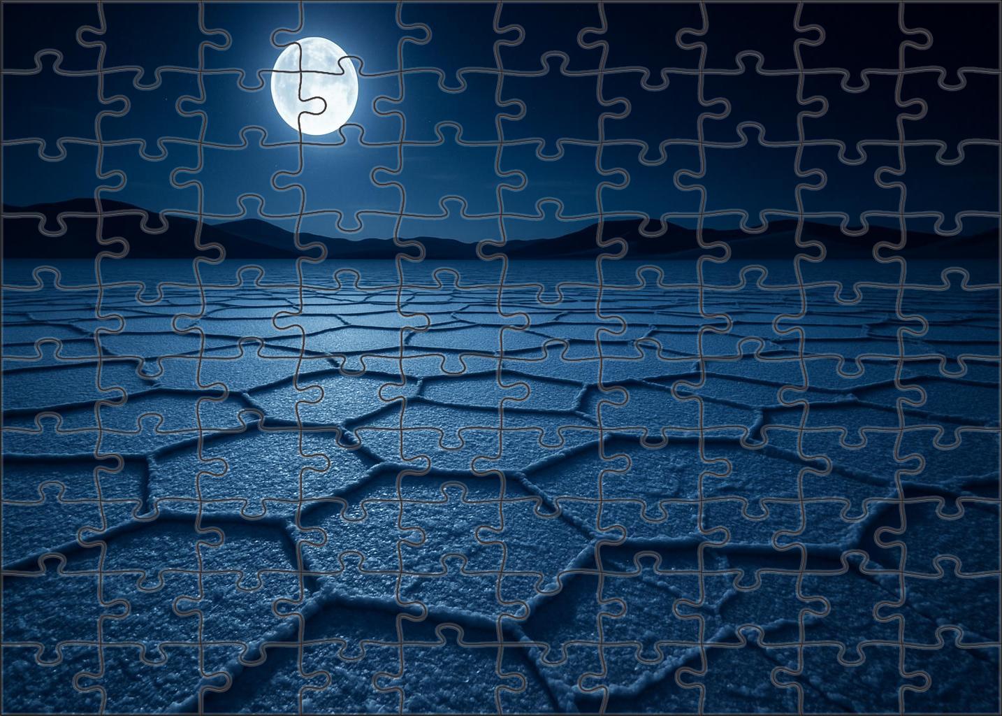 Silver Mirage Basin Moonlit Salt Flats Sparkling Like Diamonds Premium Puzzle Pieces