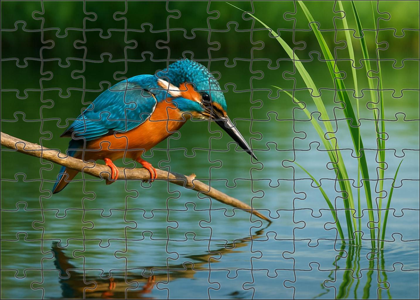 Azure Kingfisher Jewel Of Quiet Streams Puzzle Fun