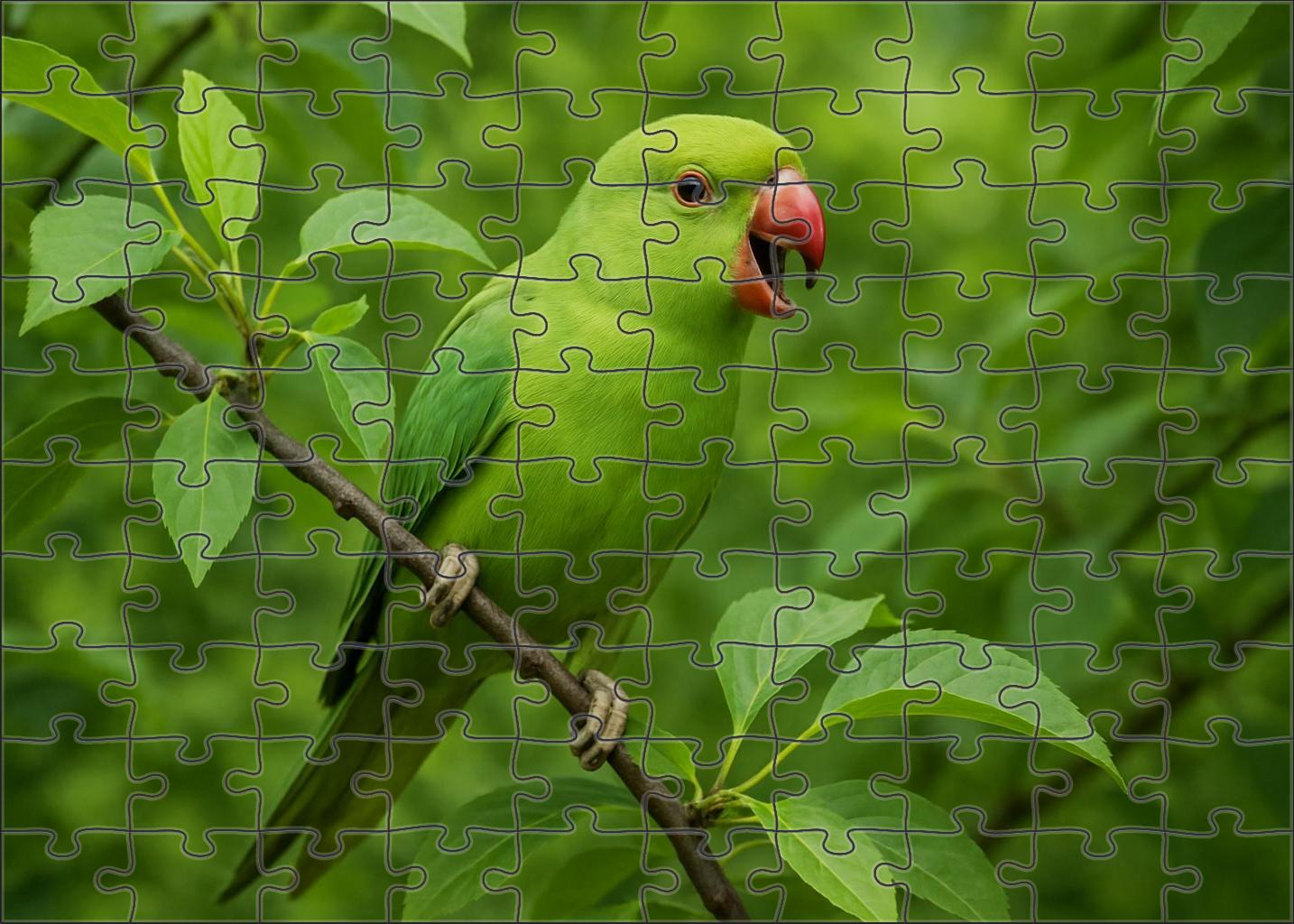 Coral-billed Parakeet The Colorful Canopy Chatter Unique Puzzle Design
