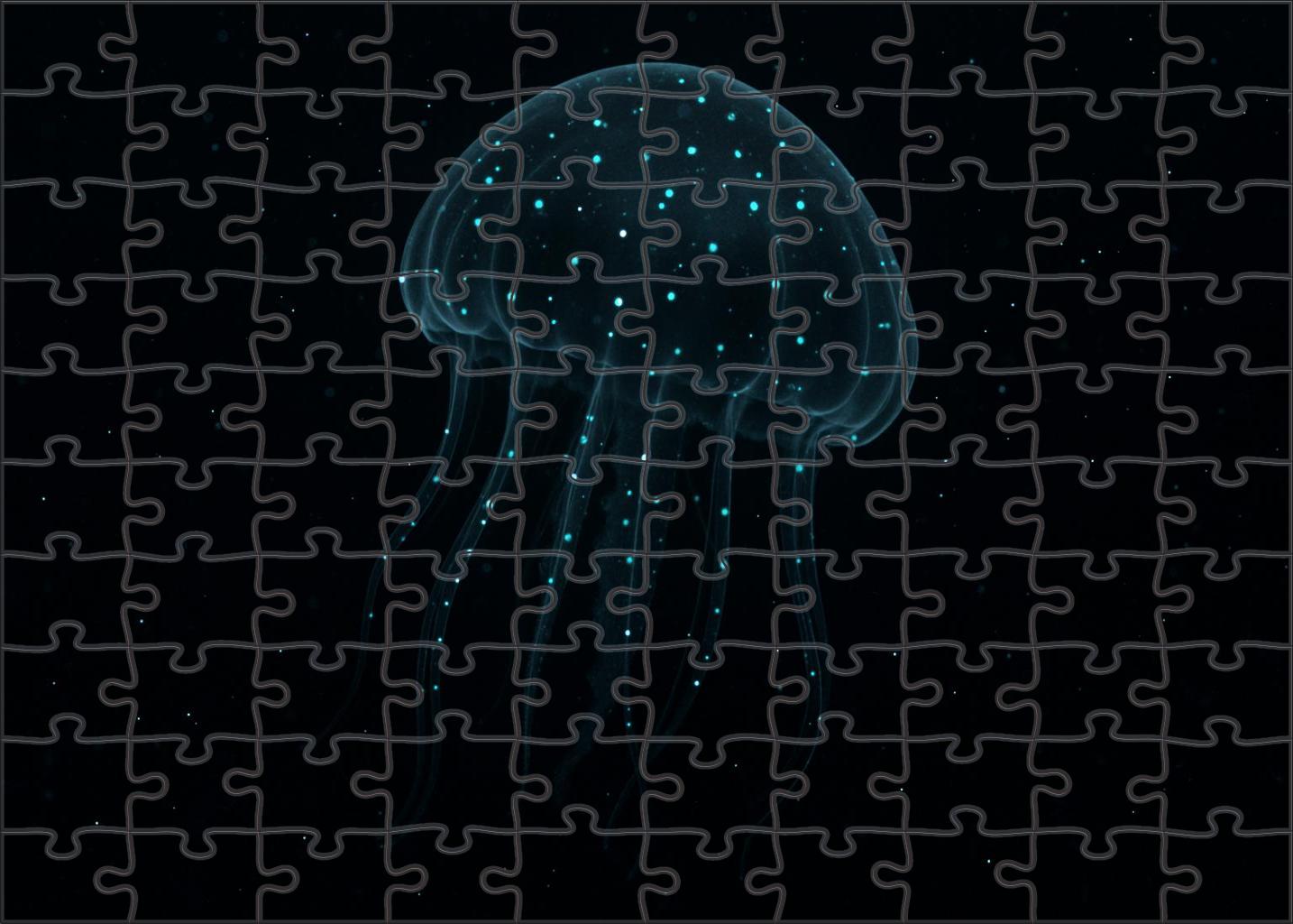 Obsidian Lantern Jelly Midnight Glow Drifter 200 Piece Puzzle