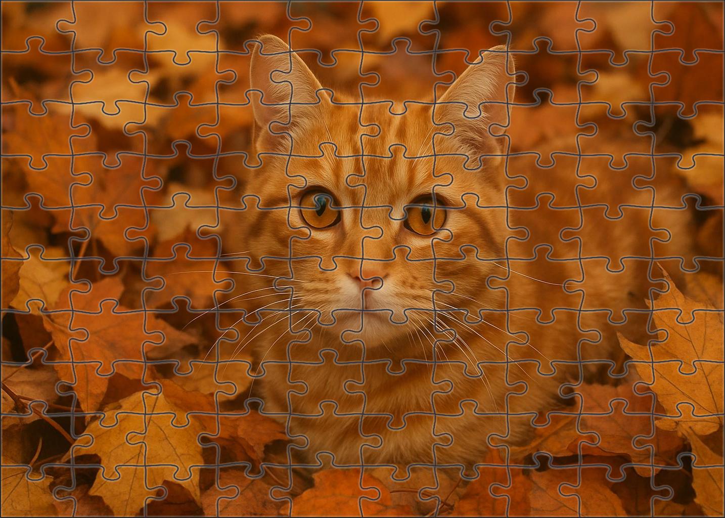Saffron Whisker Warm Ginger Tabby With Affectionate Charm 1000 Piece Puzzle