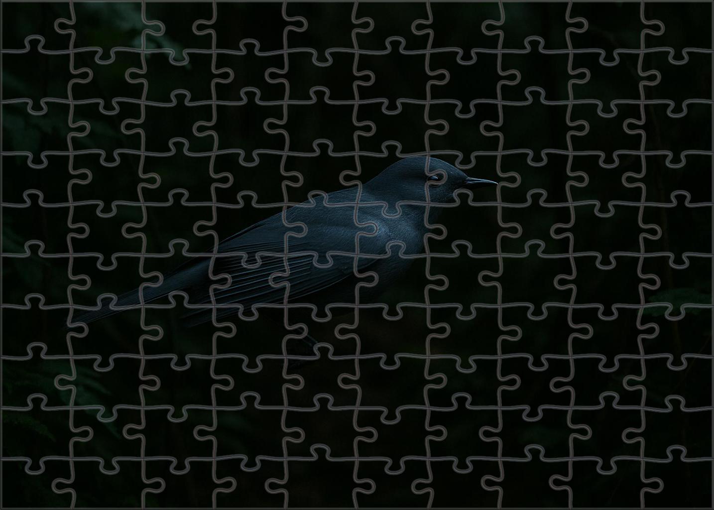 Dusky Veil Silent Forest Phantom With Shimmering Plumage 50 Piece Puzzle