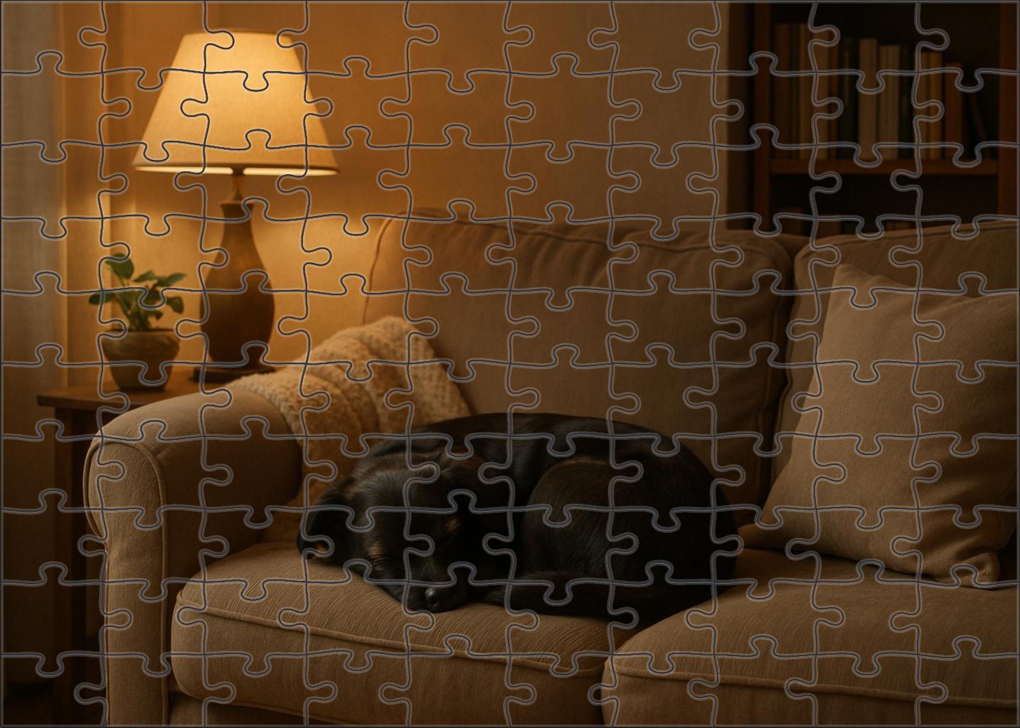 Midnight Sable Puzzle Challenge