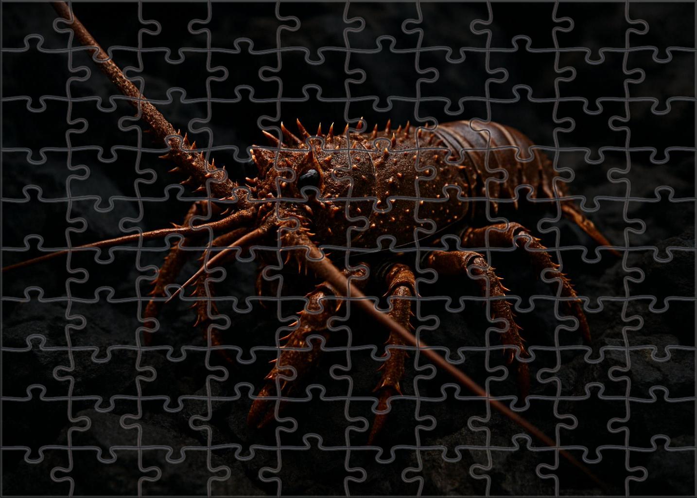 Copper-spined Lobster Hardy Crustacean With Armored Carapace Family Puzzles