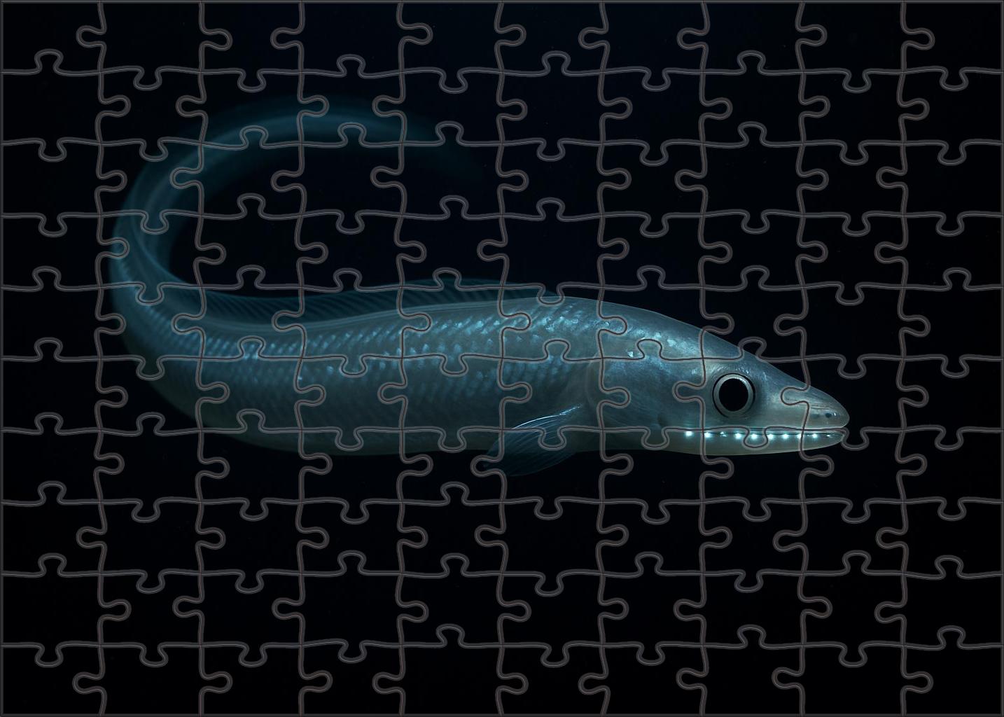 Pearl-scaled Abyssal Eel Deep Ocean Predator With Translucent Body Puzzle Fun