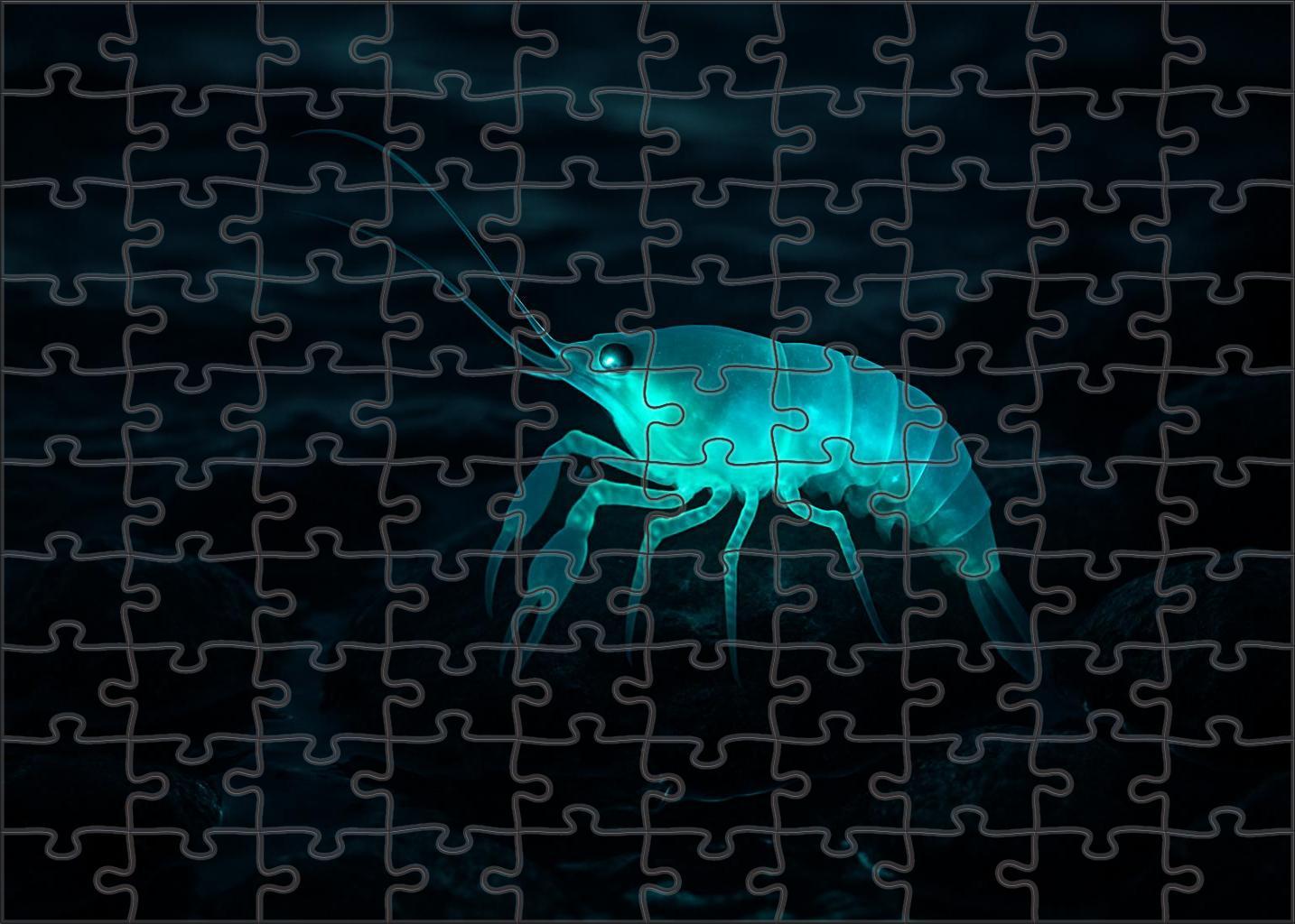 Luminous Tidecrawler Bioluminescent Crustacean With Multifaceted Eyes Large Format Puzzle
