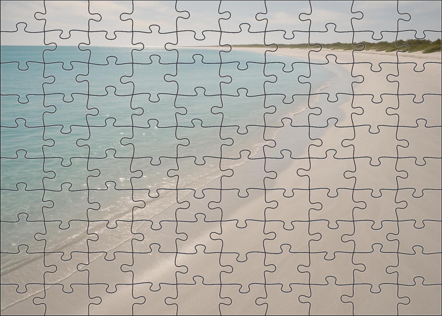 Silver Sand Point Mini Puzzle