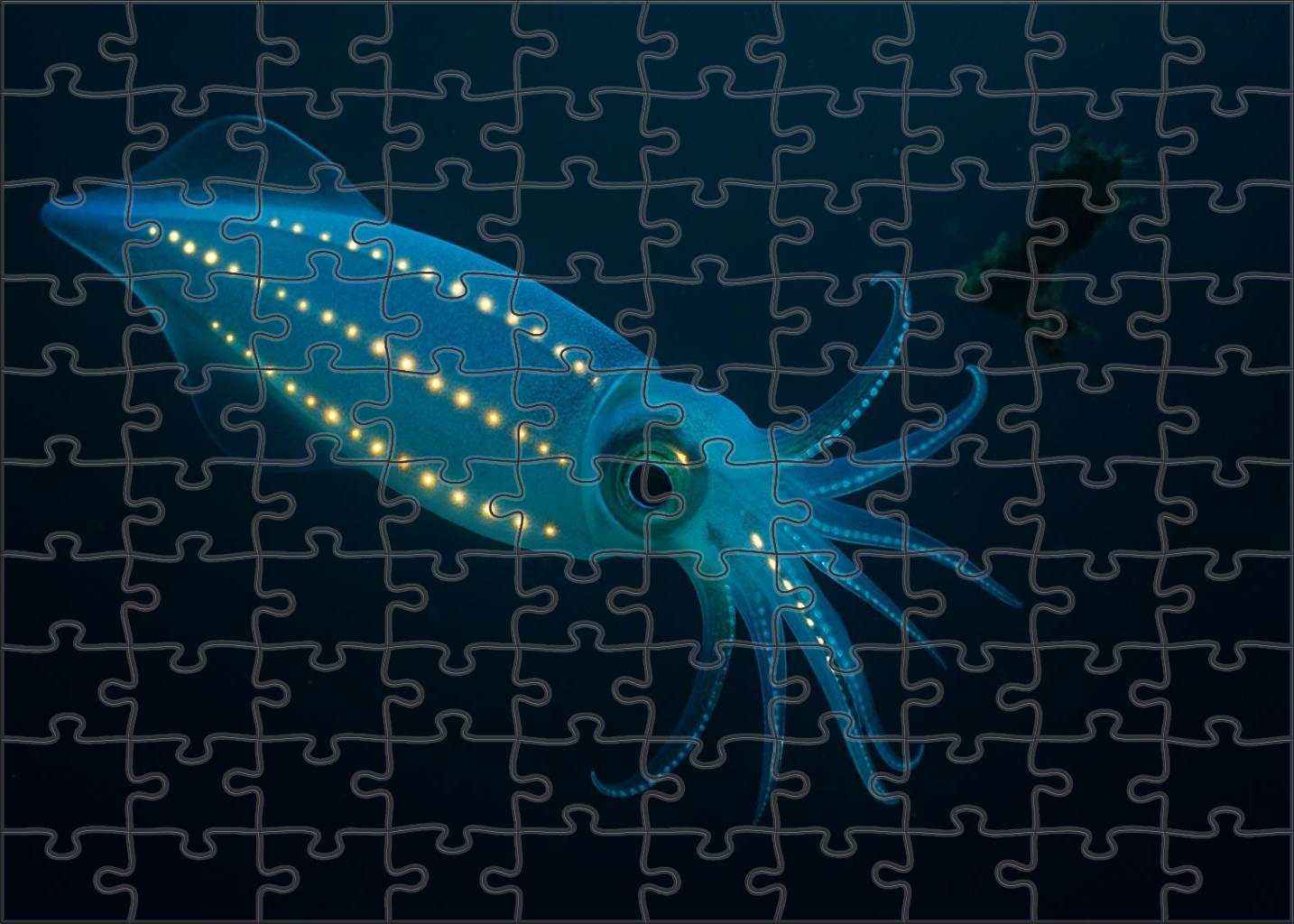 Azure Lantern Squid Bioluminescent Cephalopod With Twinkling Photophores Mini Puzzle