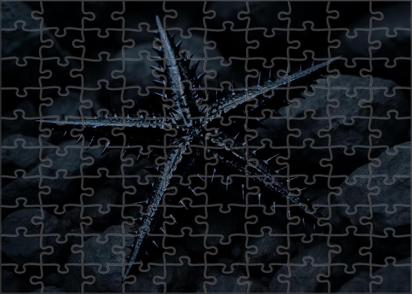 Obsidian Spiny Star Blackened Echinoderm With Sharp Defensive Rays 200 Piece Puzzle