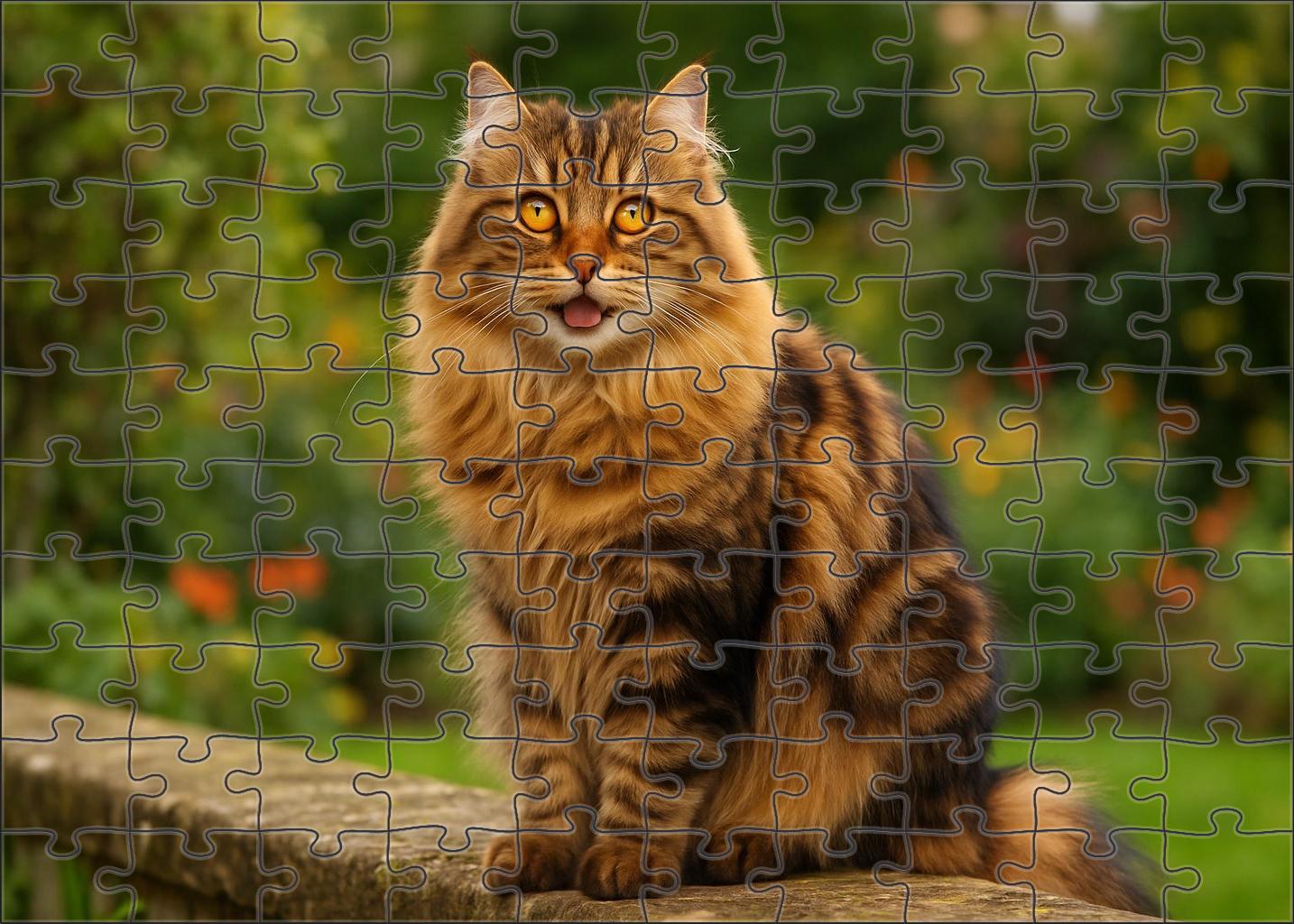 Amber Storm 200 Piece Puzzle