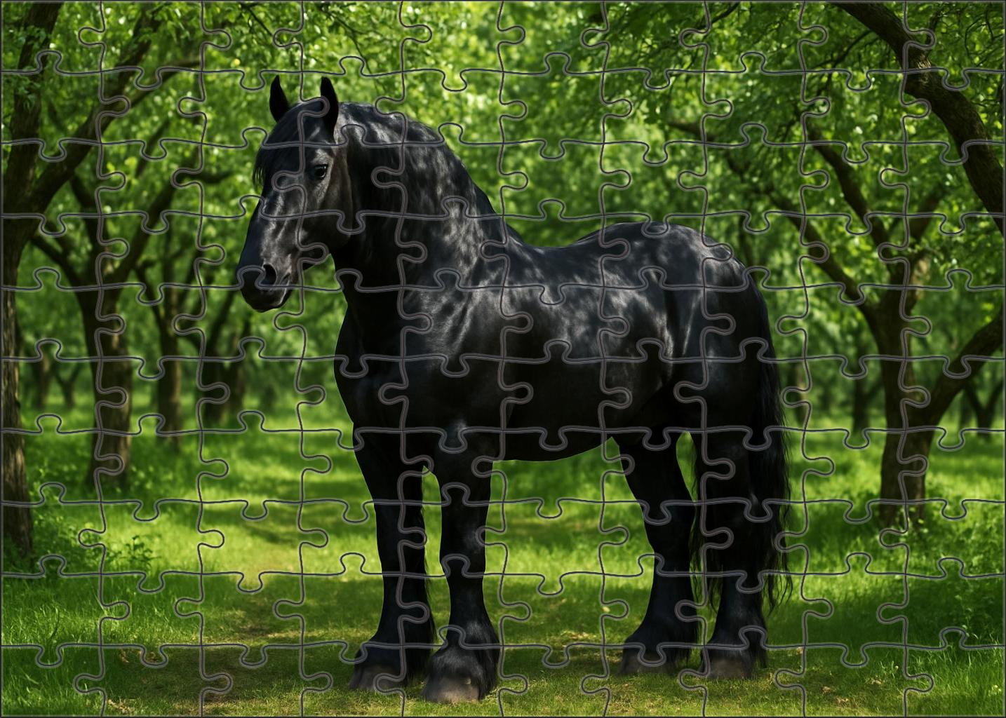 Ebony Shadow Percheron 1000 Piece Puzzle