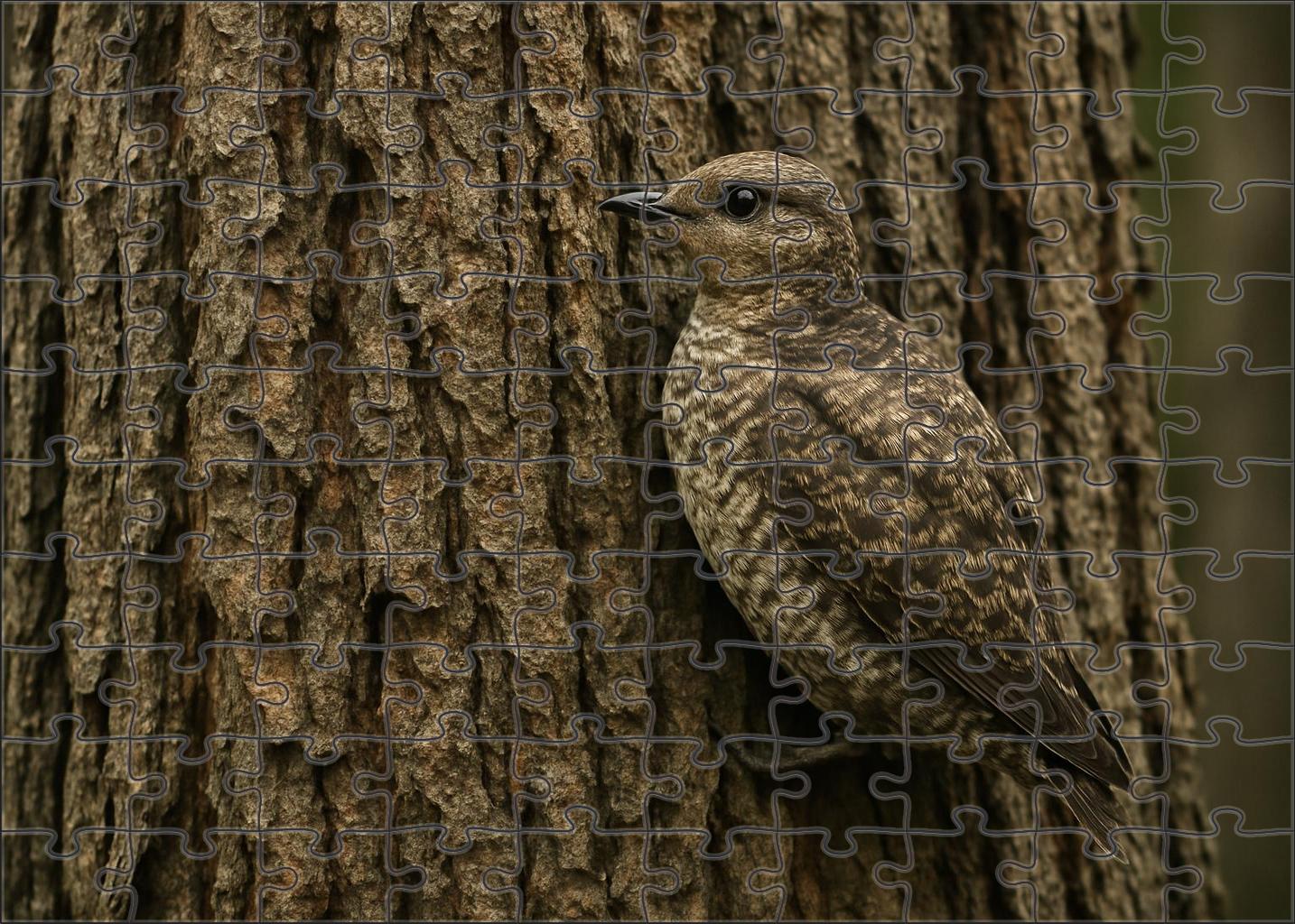 Marbled Murrelet Forest Sea Visitor Premium Puzzle Pieces