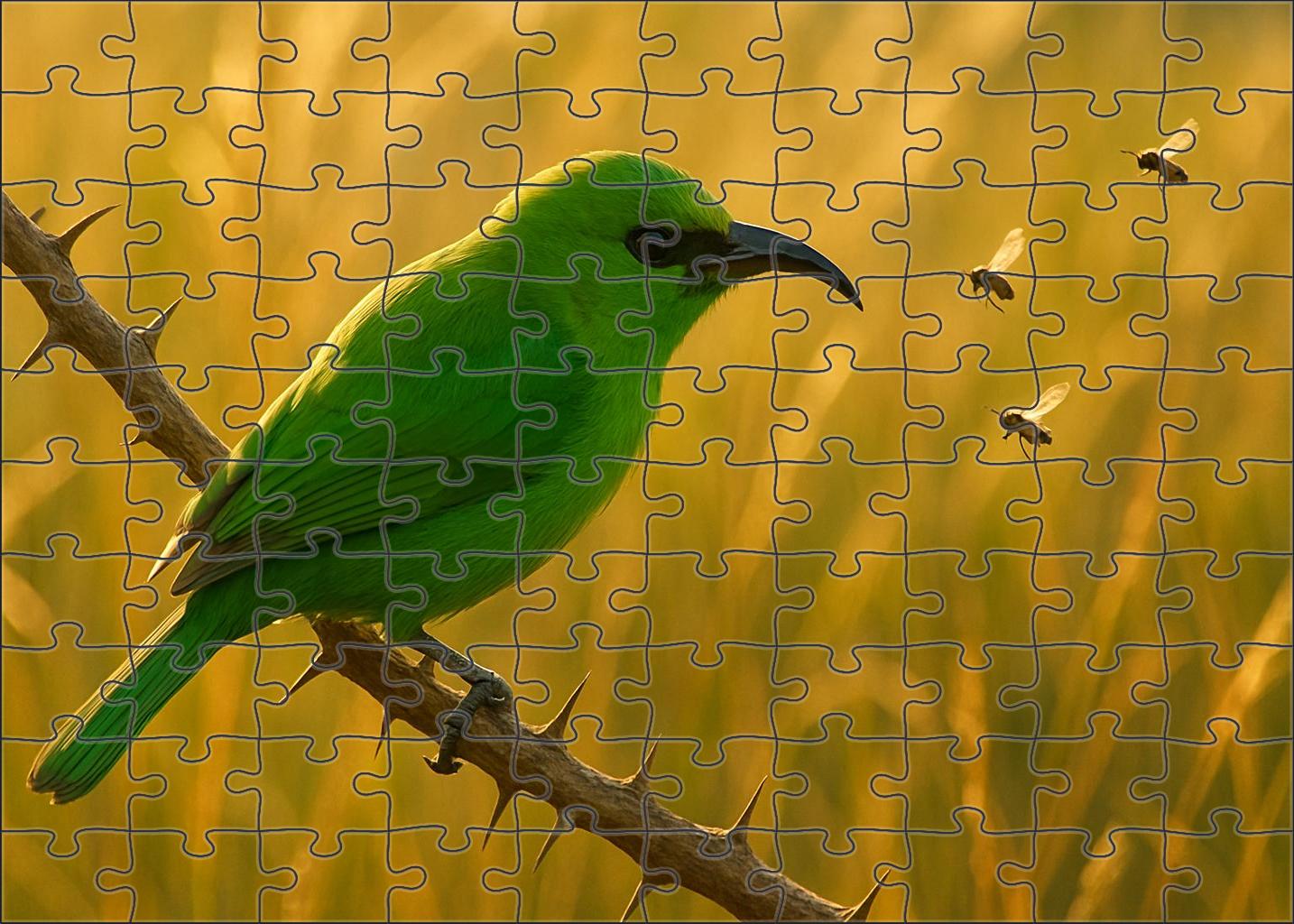 Green Bee-eater Emerald Precision Hunter Family Puzzles