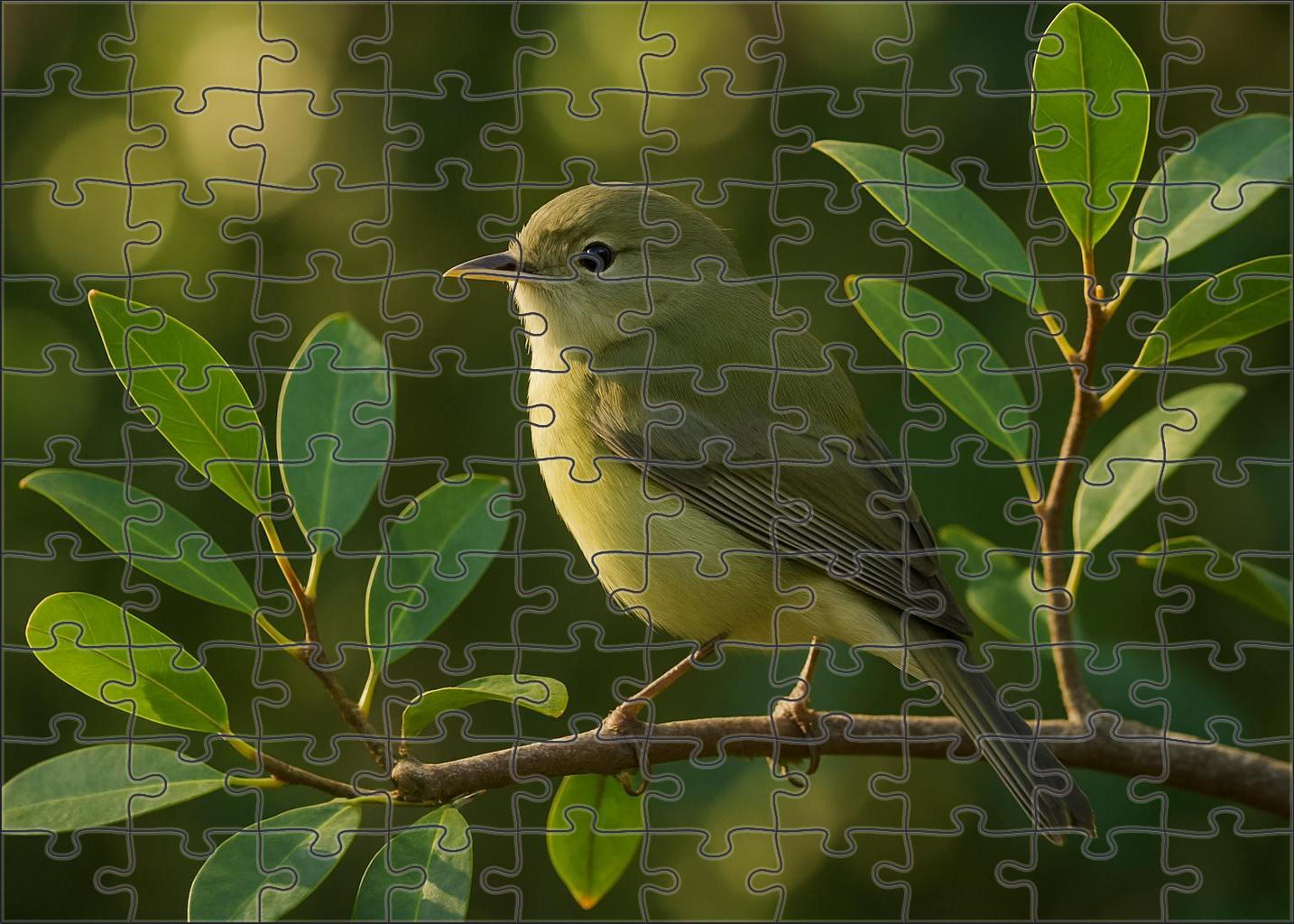 Mangrove Warbler Forest Edge Forager Large Format Puzzle