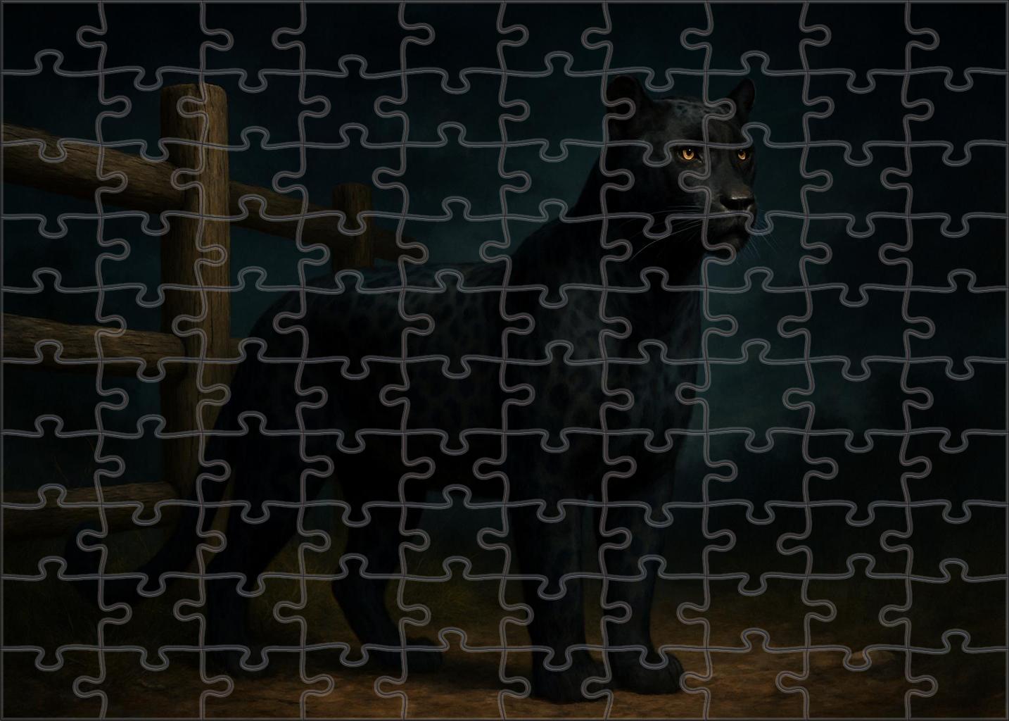 Midnight Ember Appaloosa Gelding Challenging Puzzles