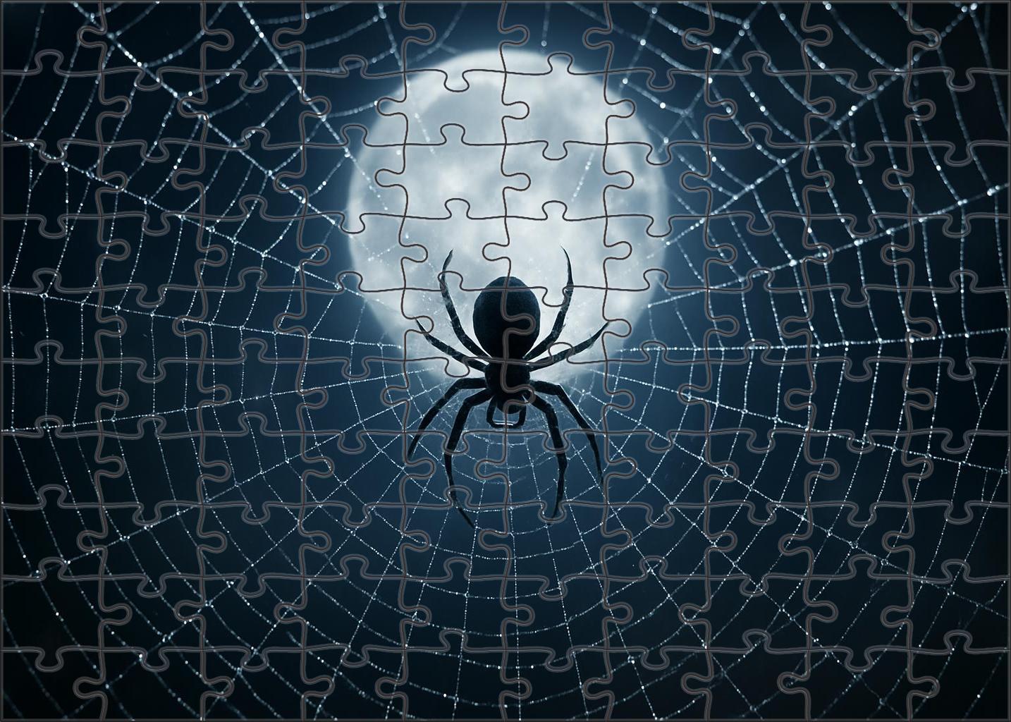 Celestial Velvet Spider Nocturnal Weaver With Iridescent Silk Puzzle Fun