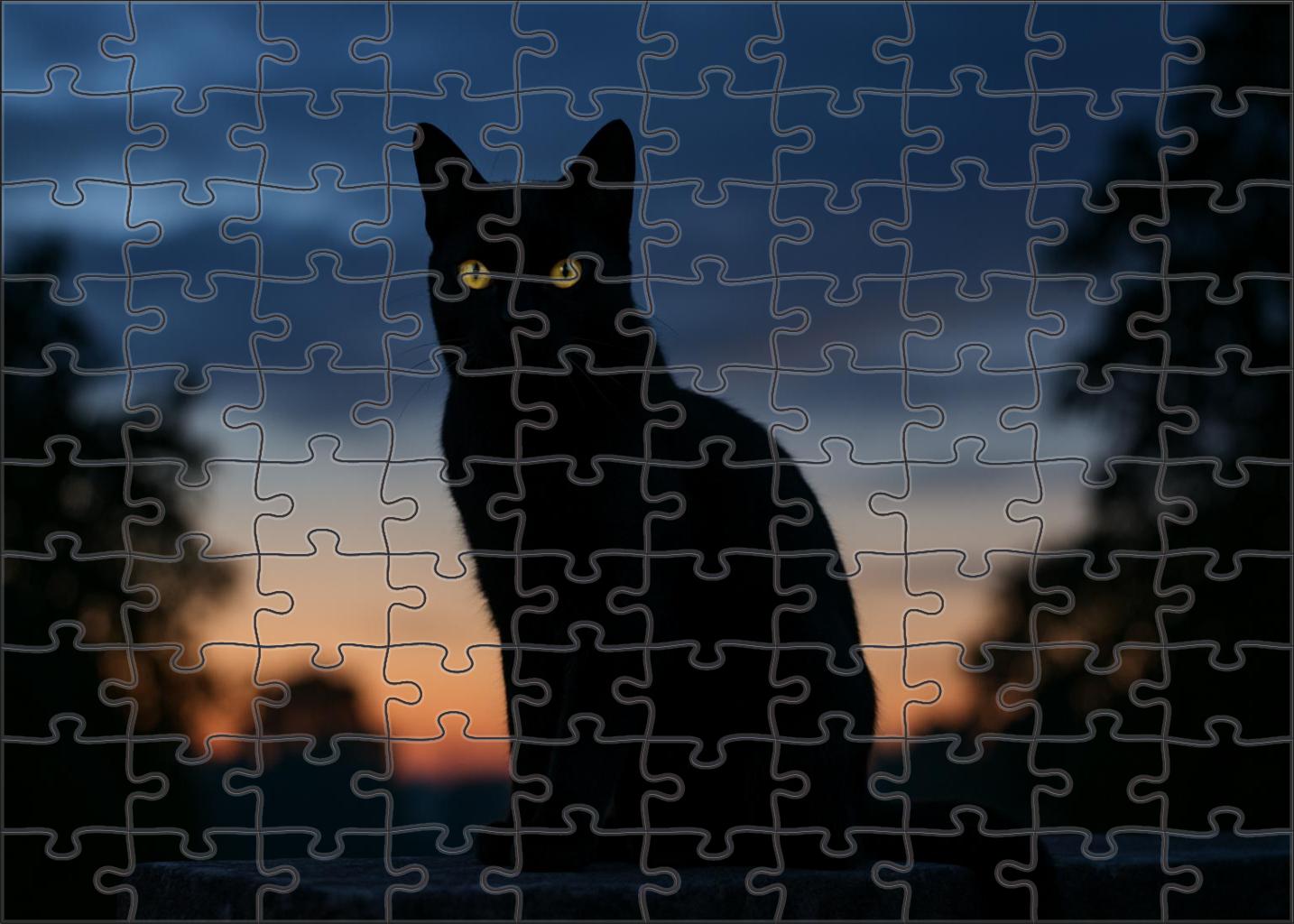 Shadow Whisper Midnight Coat With Mysterious Poise Mini Puzzle