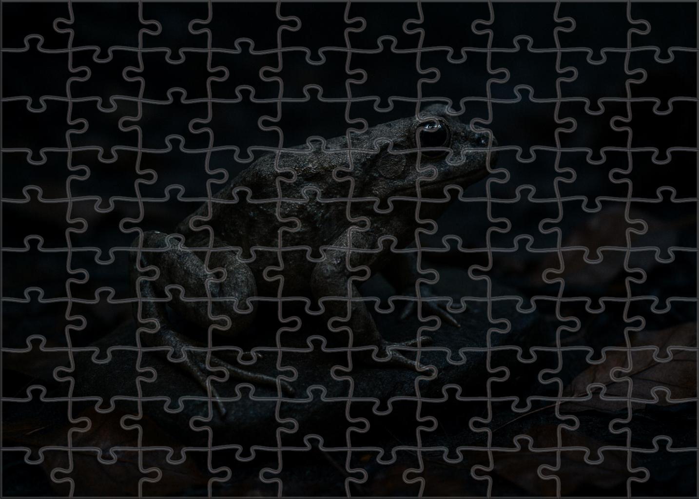 Duskshadow Hopper Elusive Amphibian With Camouflaged Skin And Powerful Legs Puzzle Fun