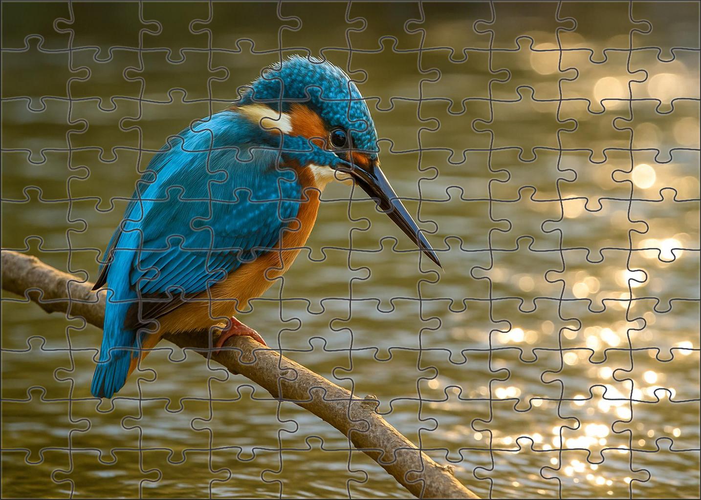 Azure Kingfisher Jewel Of The Rippling Streams Family Puzzles