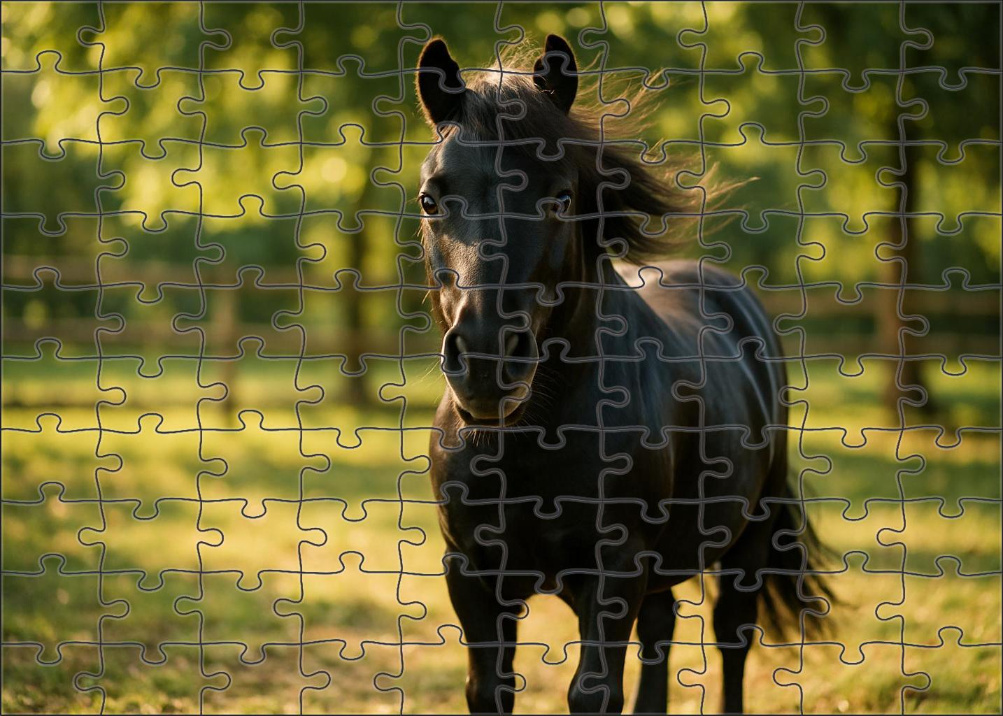 Sable Whisper Pony Large Format Puzzle