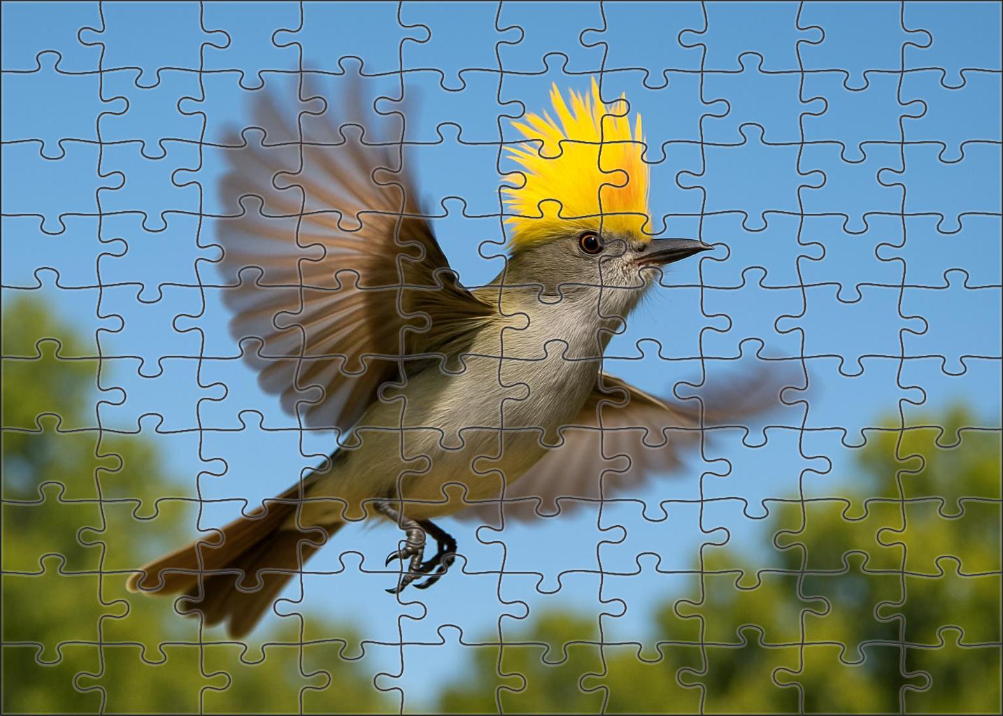 Silver-crested Flycatcher Skyward Acrobat Premium Puzzle Pieces