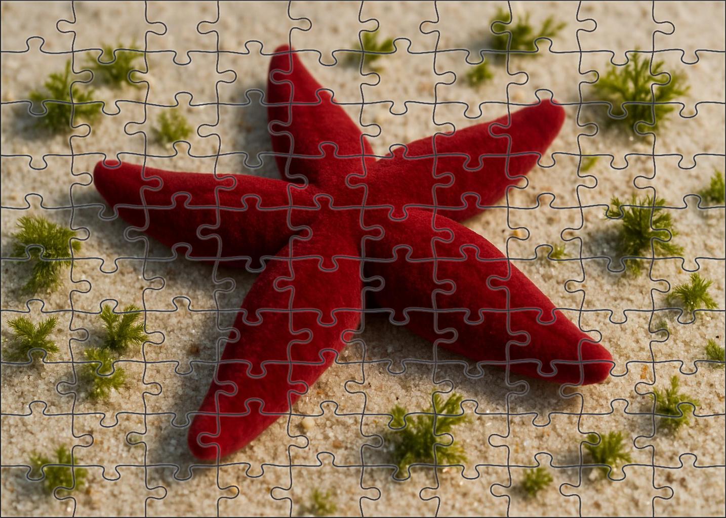 Crimson Velvet Sea Star Soft-bodied Predator With Radiating Arms Mini Puzzle